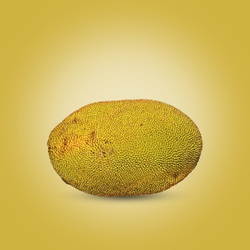 Jackfruit