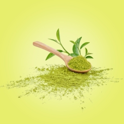 Moringa Leaves Powder (سہانجنا)