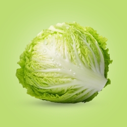 Cabbage Green