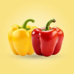 Capsicum RedYellow