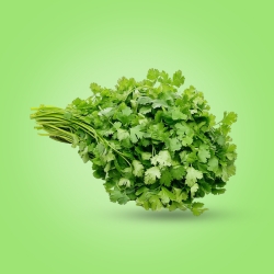 Coriander (Bunch)