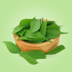 Curry Leaves (کڑی پتہ)